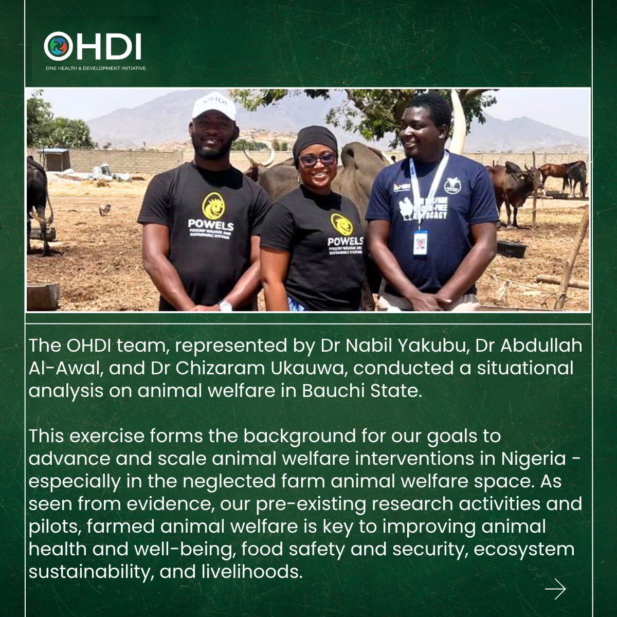 powelsprogram's tweet photo. Advancing animal welfare policy in Bauchi State under OHDI POWELS program. A situational analysis and stakeholder engagements informed a successful policy workshop with key state actors. Grateful to all partners driving stronger animal welfare systems in Nigeria. 

#OHDI #POWELS https://t.co/oQzHkr7qyo