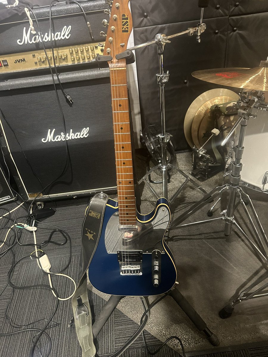 不定形な犬 tweet media