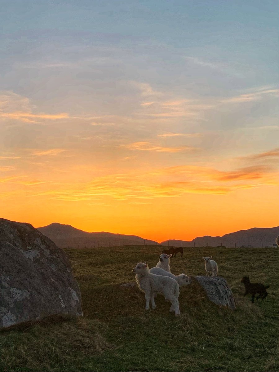 frenchscotjeff's tweet image. Grand Rising…

Good Wednesday lovely people in my phone.

#WednesdayMotivation #spring #weather #GoodVibesOnly #sunrise #StormHour #jefinuist #outerhebrides #Scotland