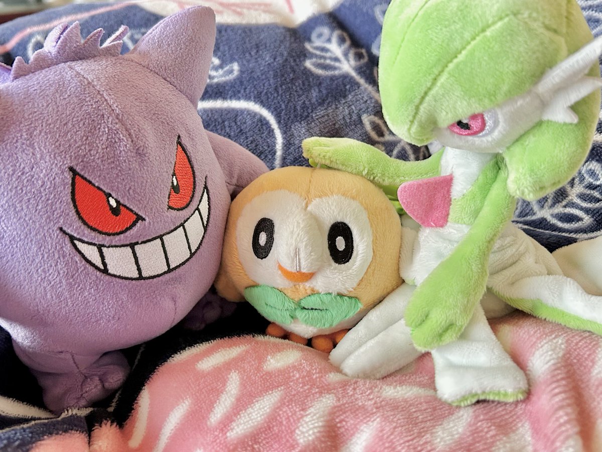 抹茶珈琲ゼリー tweet media