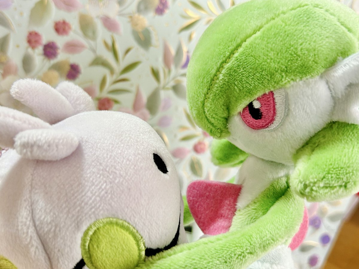 抹茶珈琲ゼリー tweet media