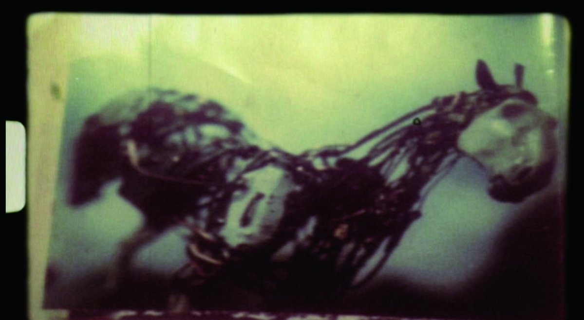 『悲しくて美しい世界 ／ THIS IS SPARKLEHORSE』公式 tweet media