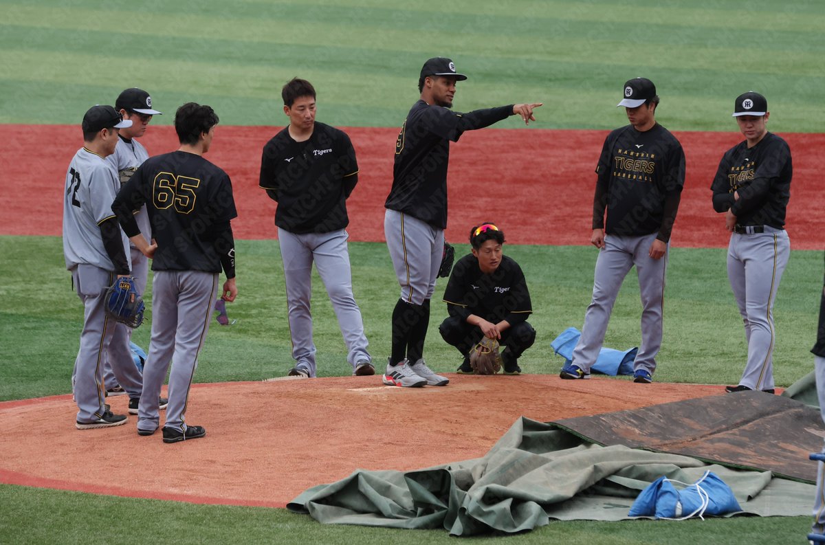 スポニチTIGERSフォト tweet media