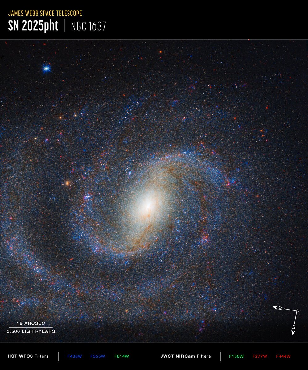 ESA Webb Telescope tweet media