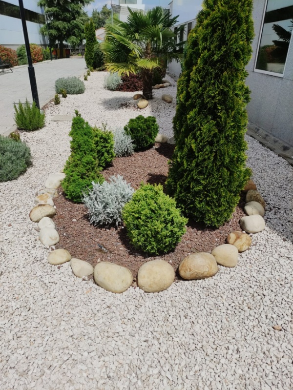 concienciaeco's tweet image. Cómo mejorar tu jardín para que sea más ecológico
shre.ink/70eW
#medioambiente #jardinería #jardín #plantas #jardínecológico #tiposdejardines #decoración #diseñodejardines