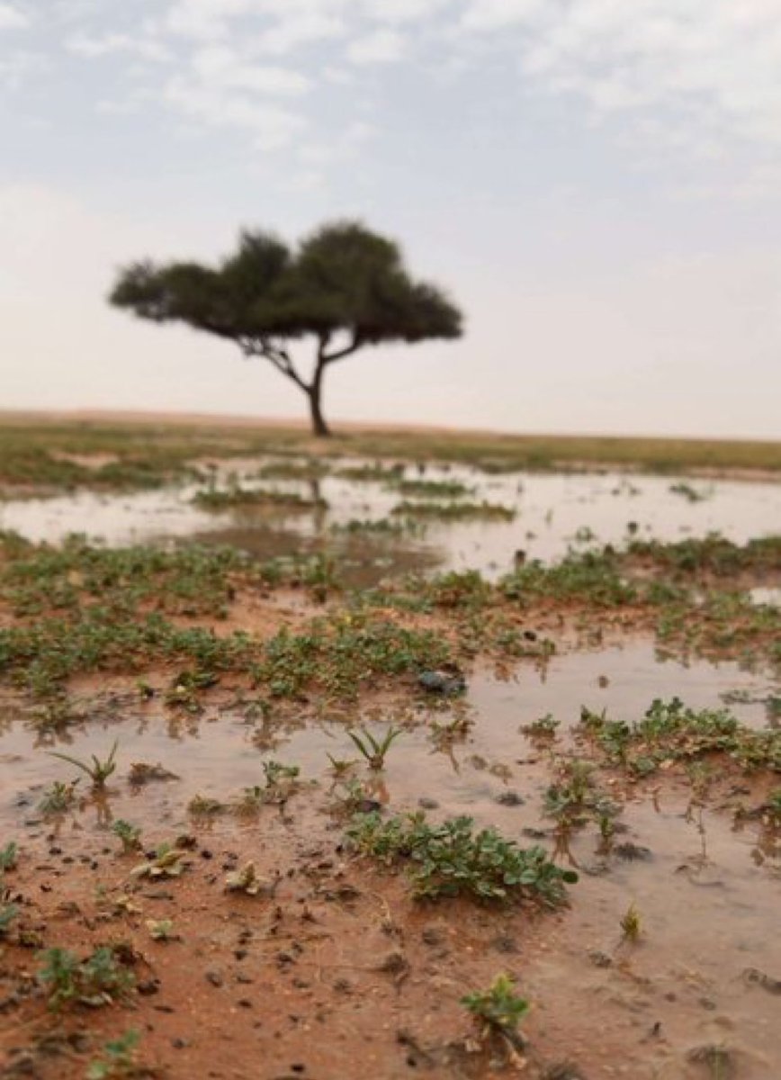 أ مــــــآ ن ♡ tweet media