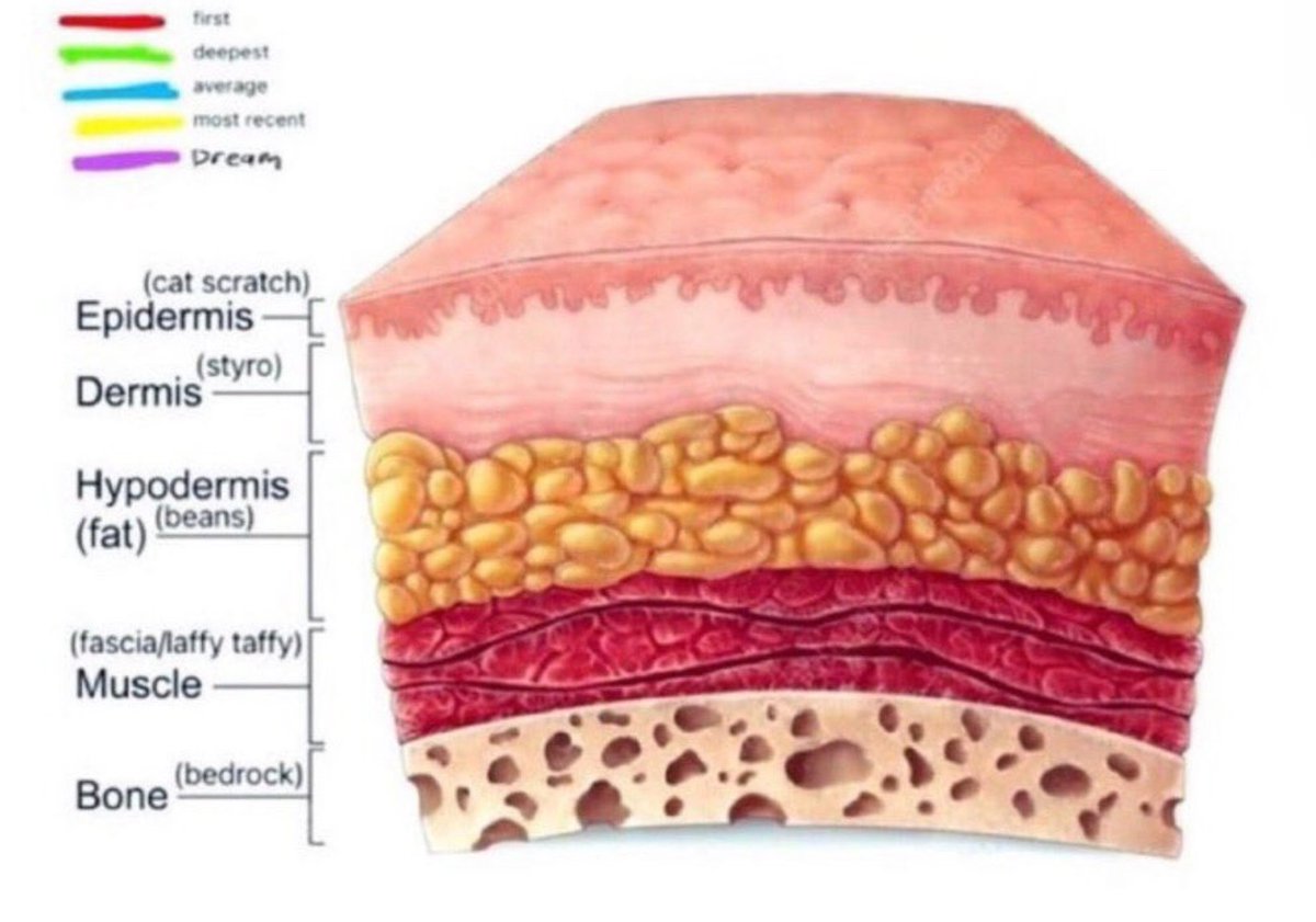 Starii🎀 tweet media