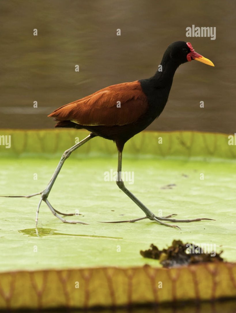 AuBonTouiteFrançais 🍾🍾🍾 tweet media