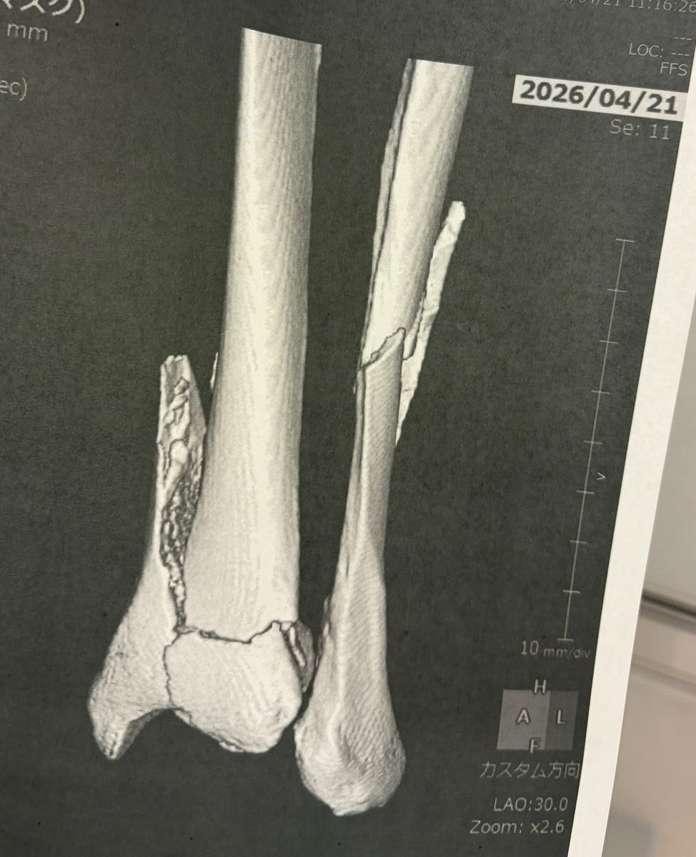 らいのまま tweet media