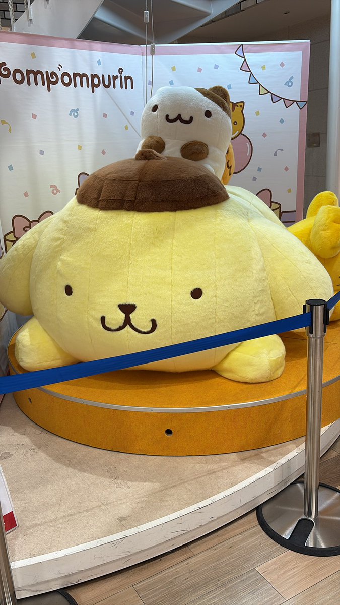 とと🌼未所持固定 tweet media