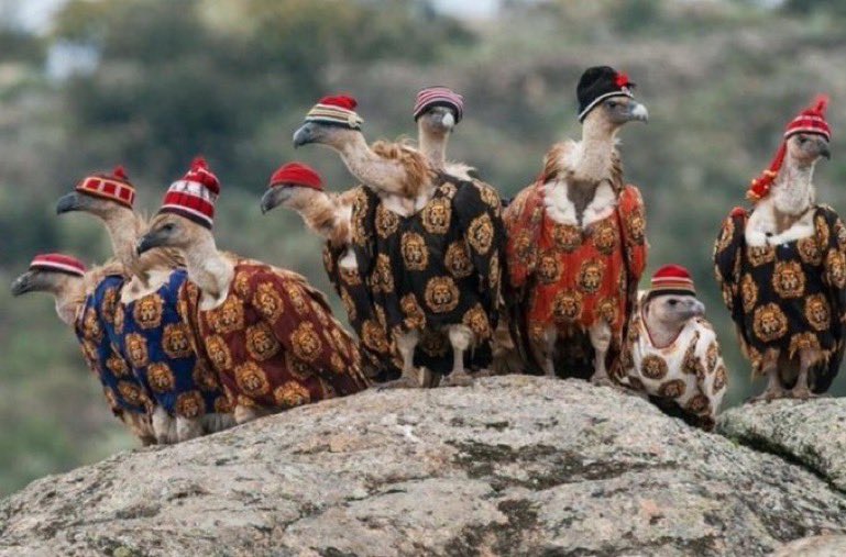 Brainard223331 tweet media