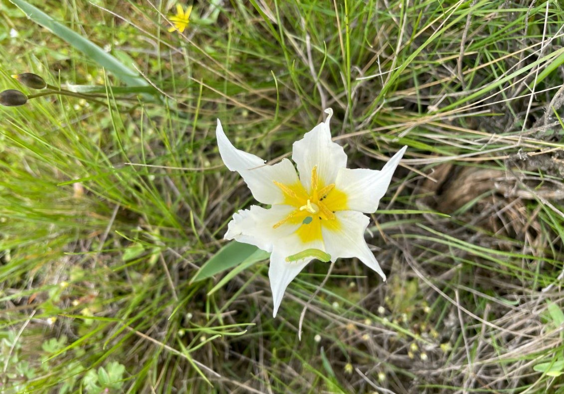 tina palesha tweet media