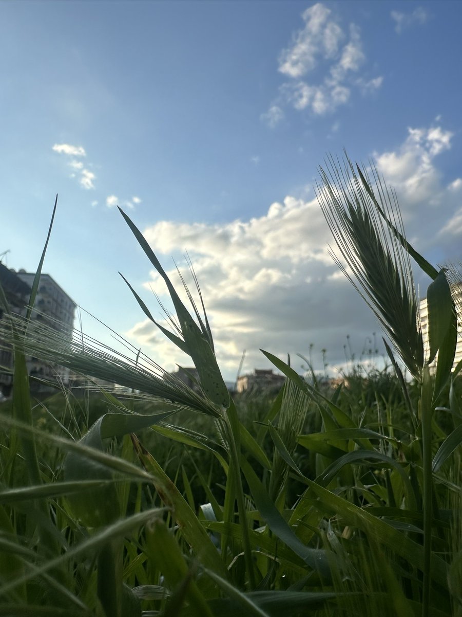 eminaaado's tweet photo. 🍃 https://t.co/Ly1NGxQwse