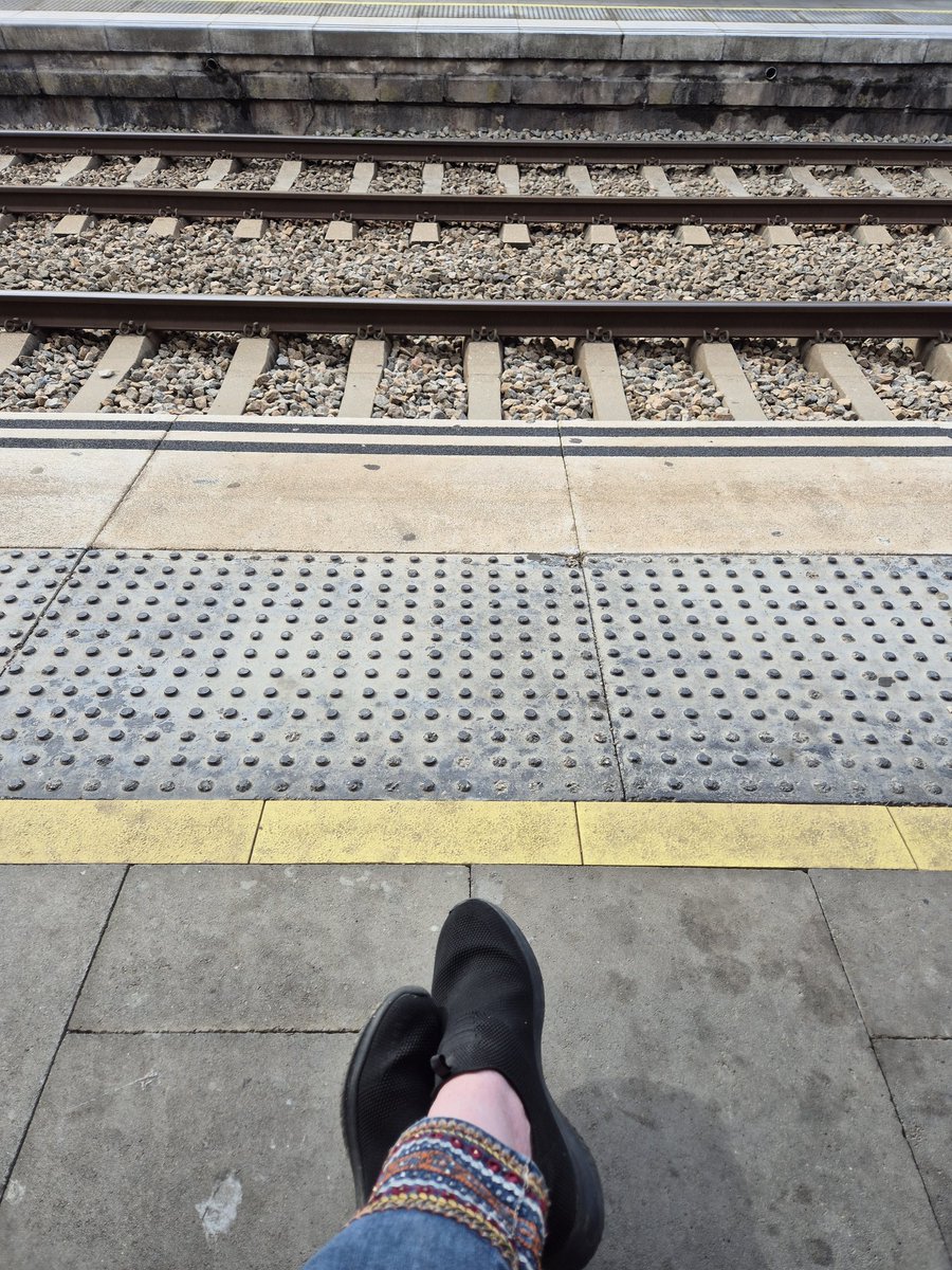 gataambbotes II☆II tweet media