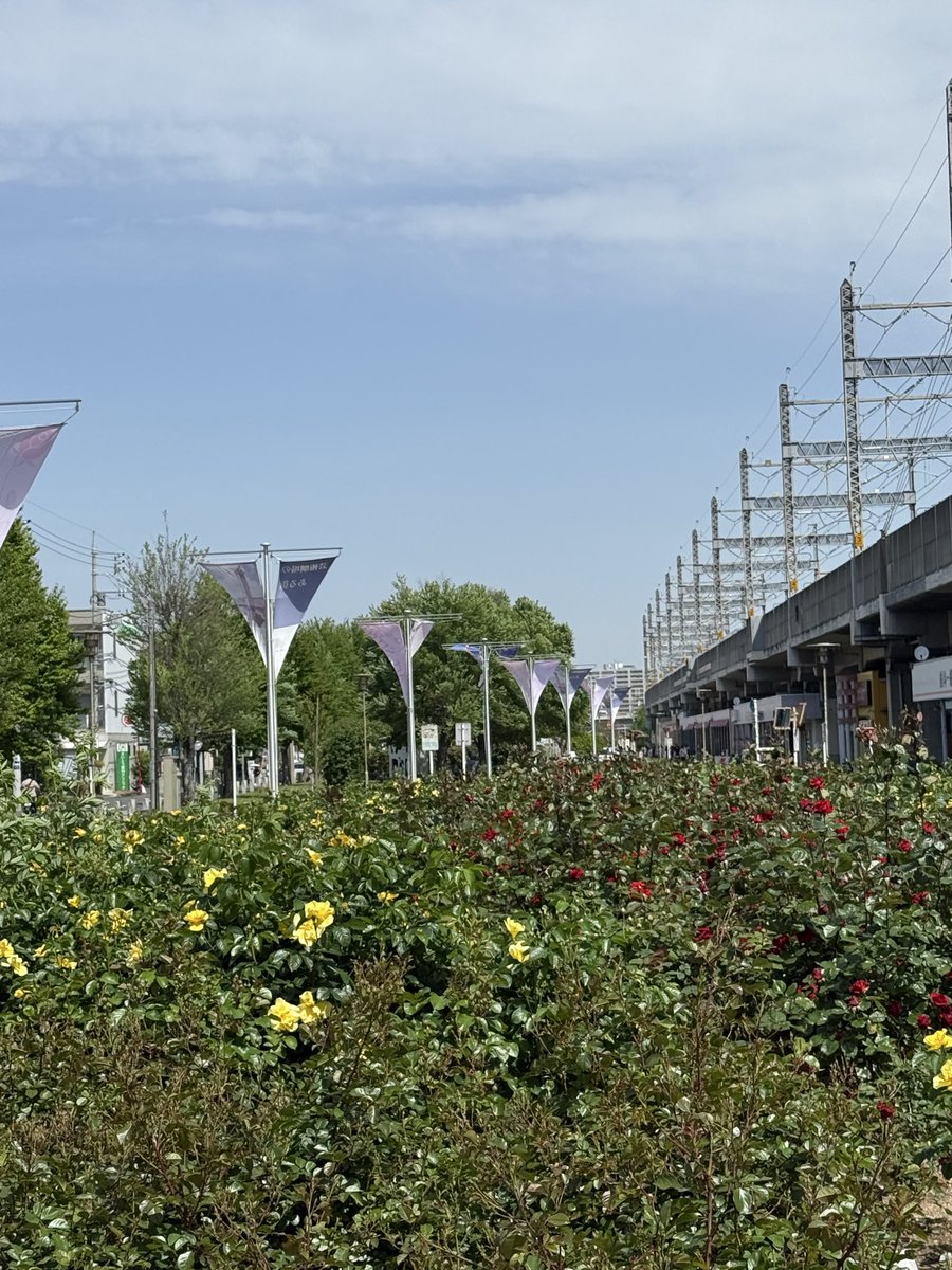 彩の国さいたま芸術劇場＜総合＞ tweet media