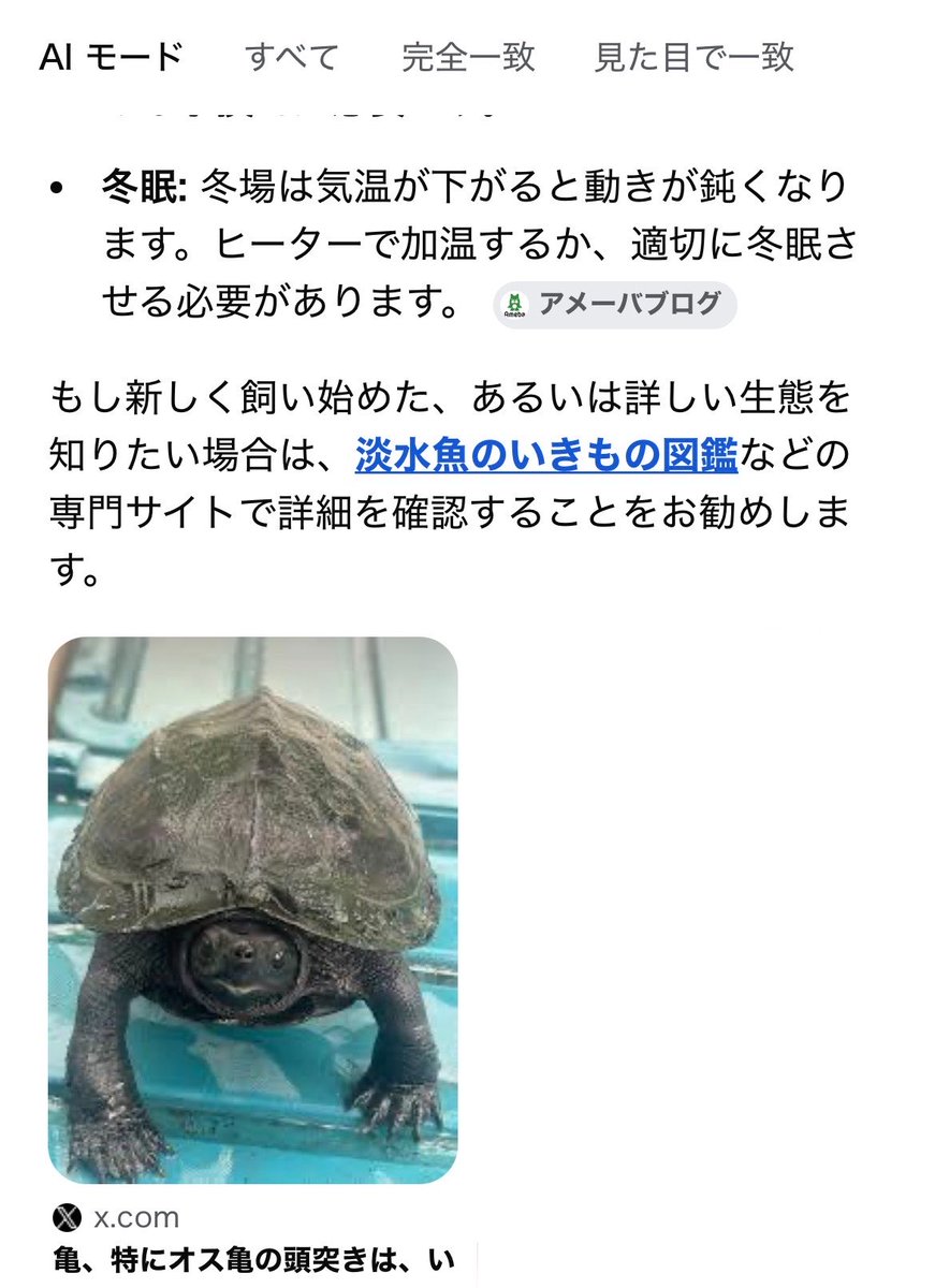 かめつき🐢 tweet media