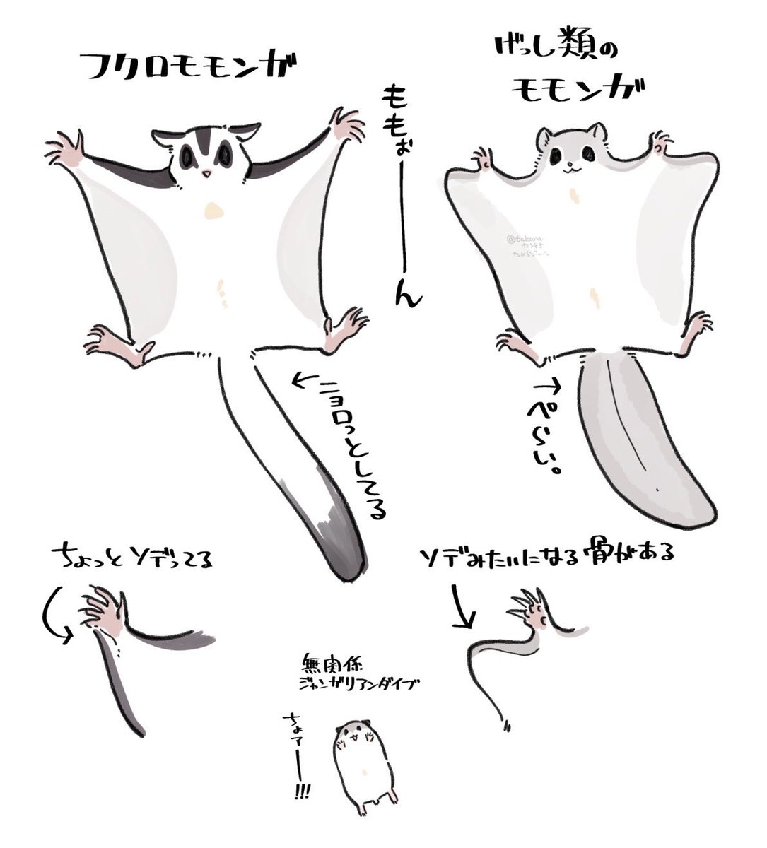 可愛いことしか分からないよ