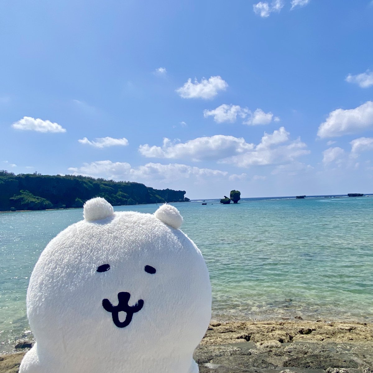 田舎くま tweet media