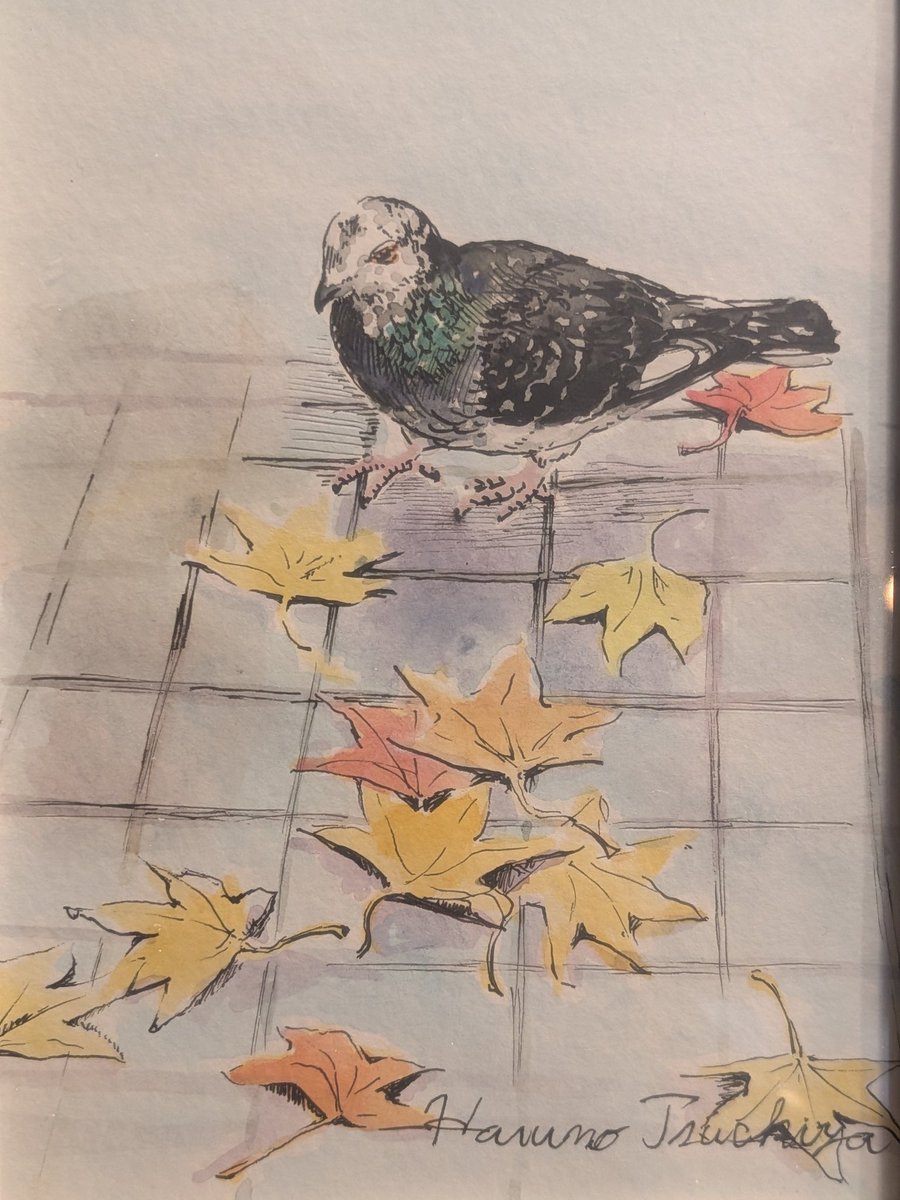 こういう。。。お洒落な鳩好きです