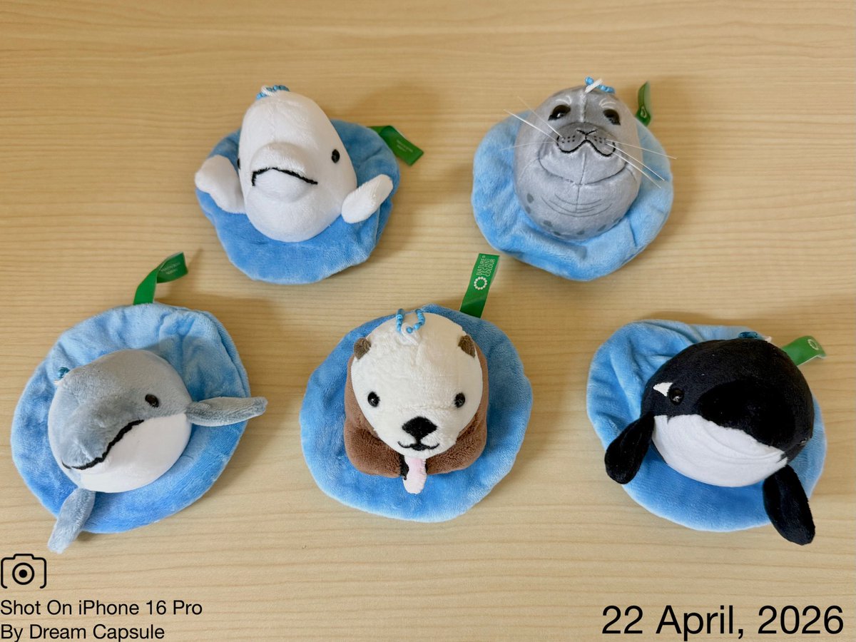 ドリームカプセルの中の人【公式】 tweet media