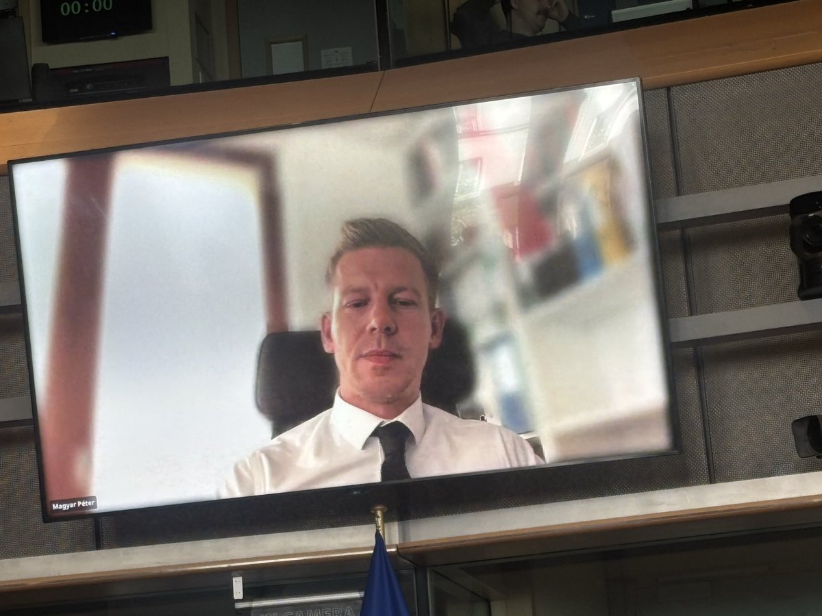 Seán Kelly MEP tweet media