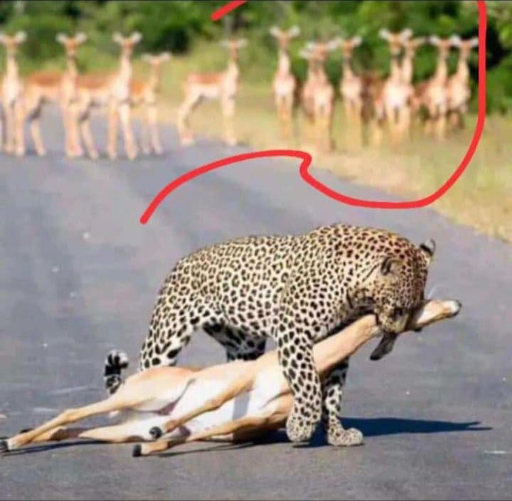 Baddy of Lagos 👑 tweet media