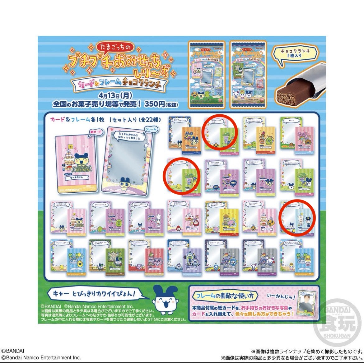 たぬきち tweet media