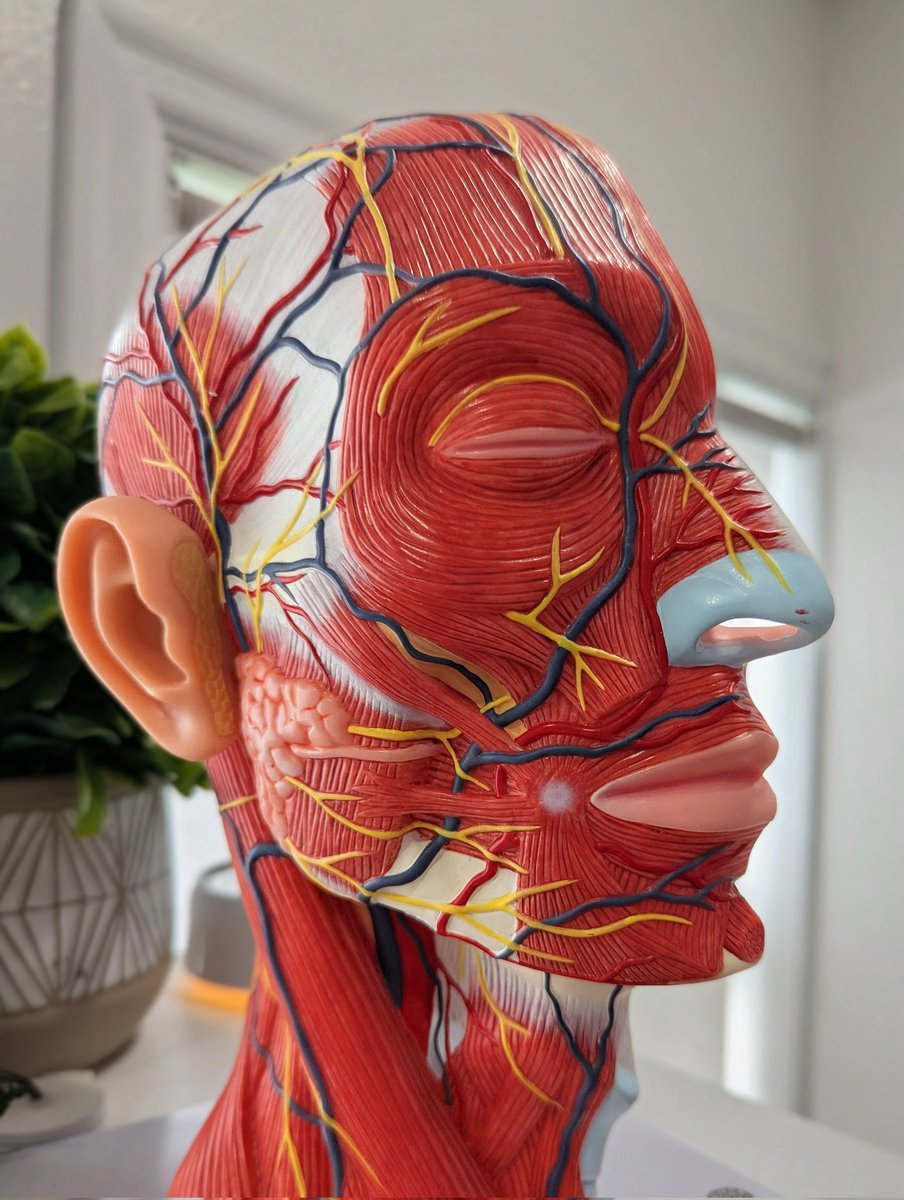 Saturday Night Soup for the Soul🎵🌈🍒 tweet media