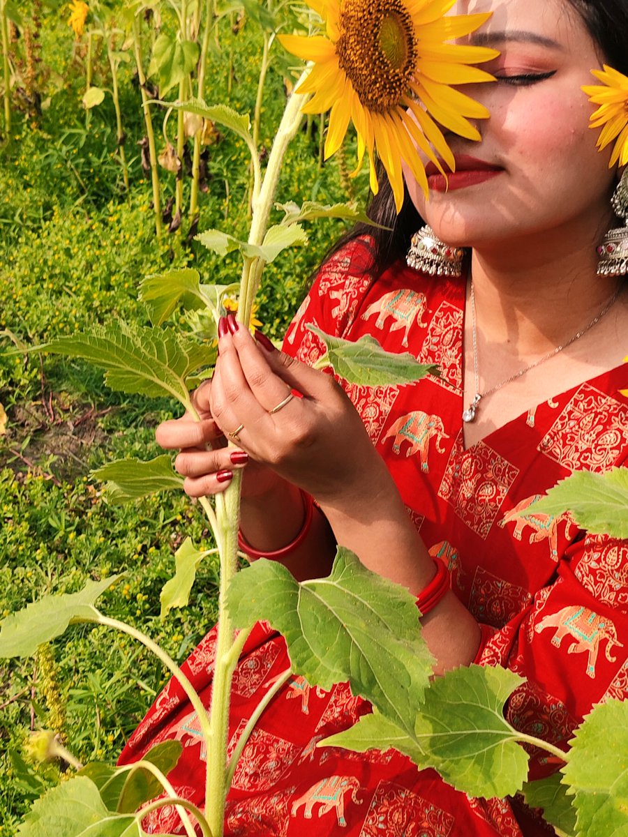 🌻