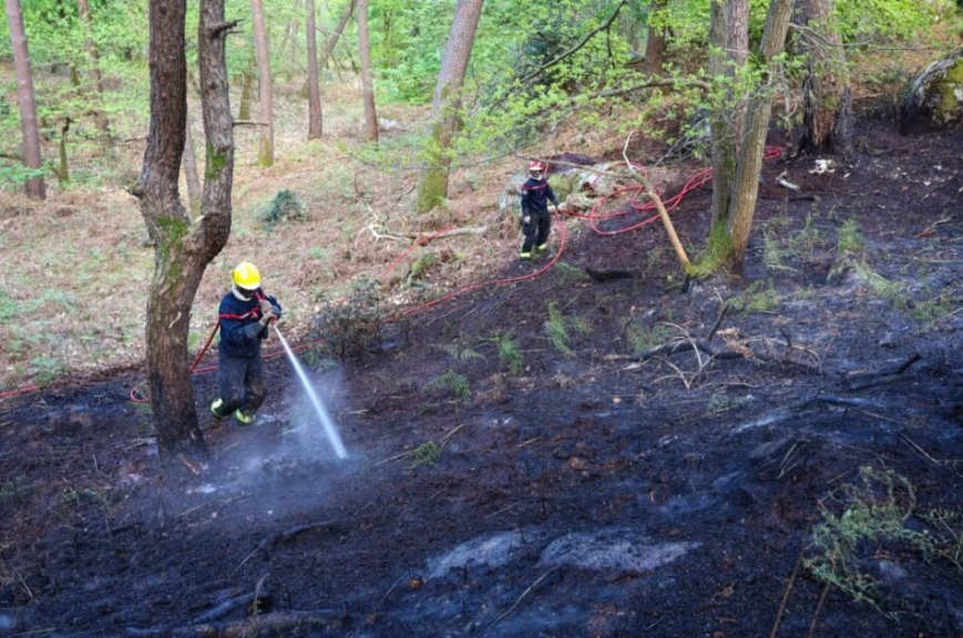 LaRep77's tweet photo. 🔥Incendie en forêt de Fontainebleau : détecté par IA, le premier feu d'ampleur aurait pu être bien plus grave 👉https://t.co/fkz1stMOkR via @actufr #IA #IntelligenceArtificielle #Incendie #Nouveau https://t.co/qOhTzt86U3