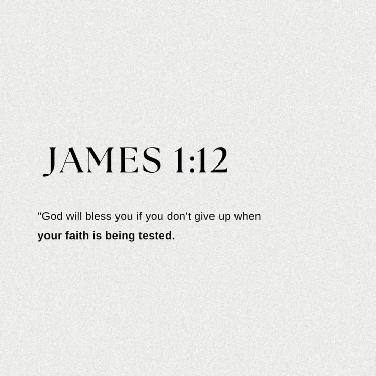 The Bible tweet media
