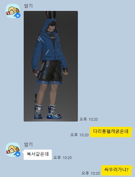 보기절테리어(상태:번탈즈) tweet media