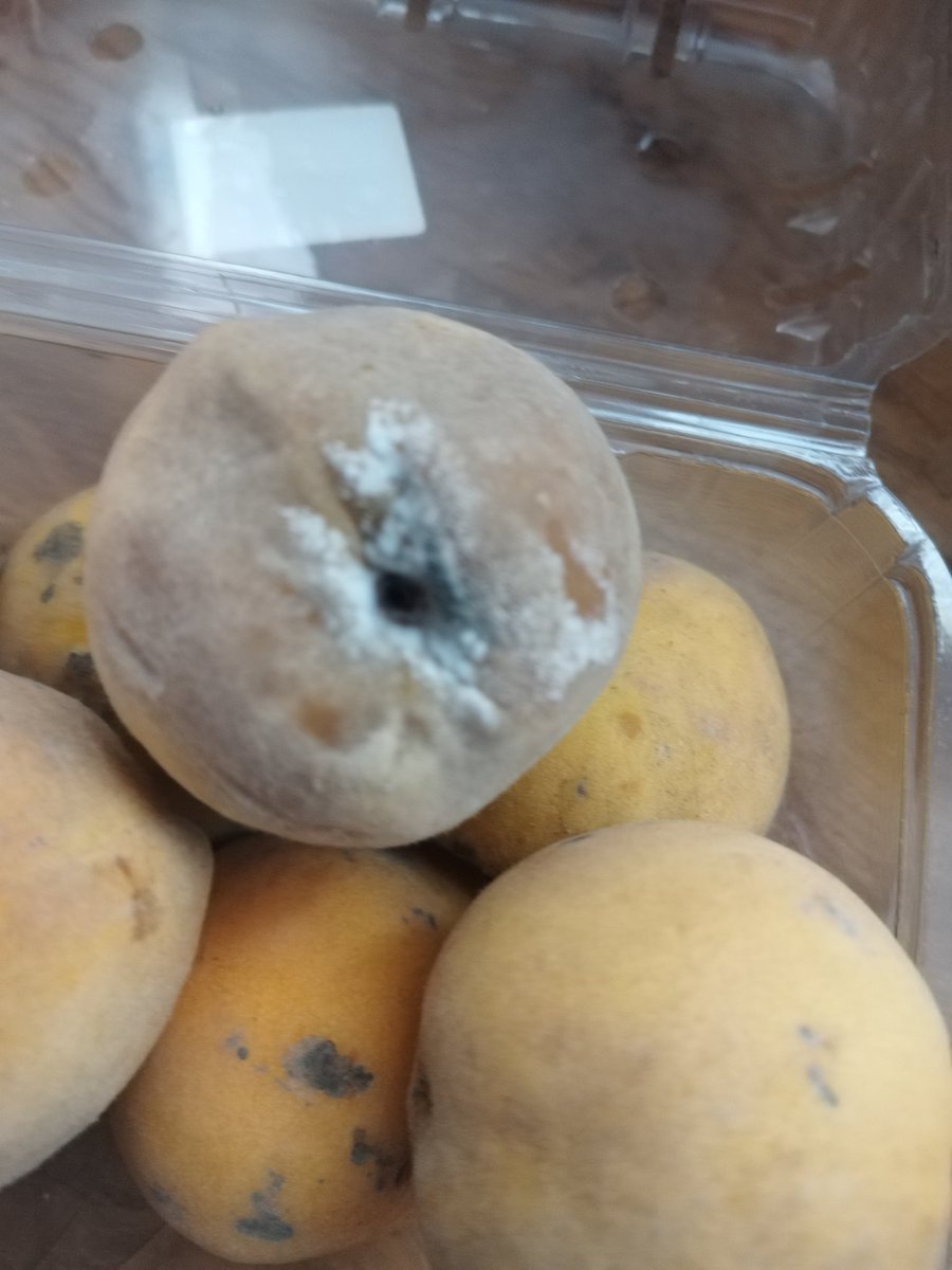 ZaynabNonyameko tweet media