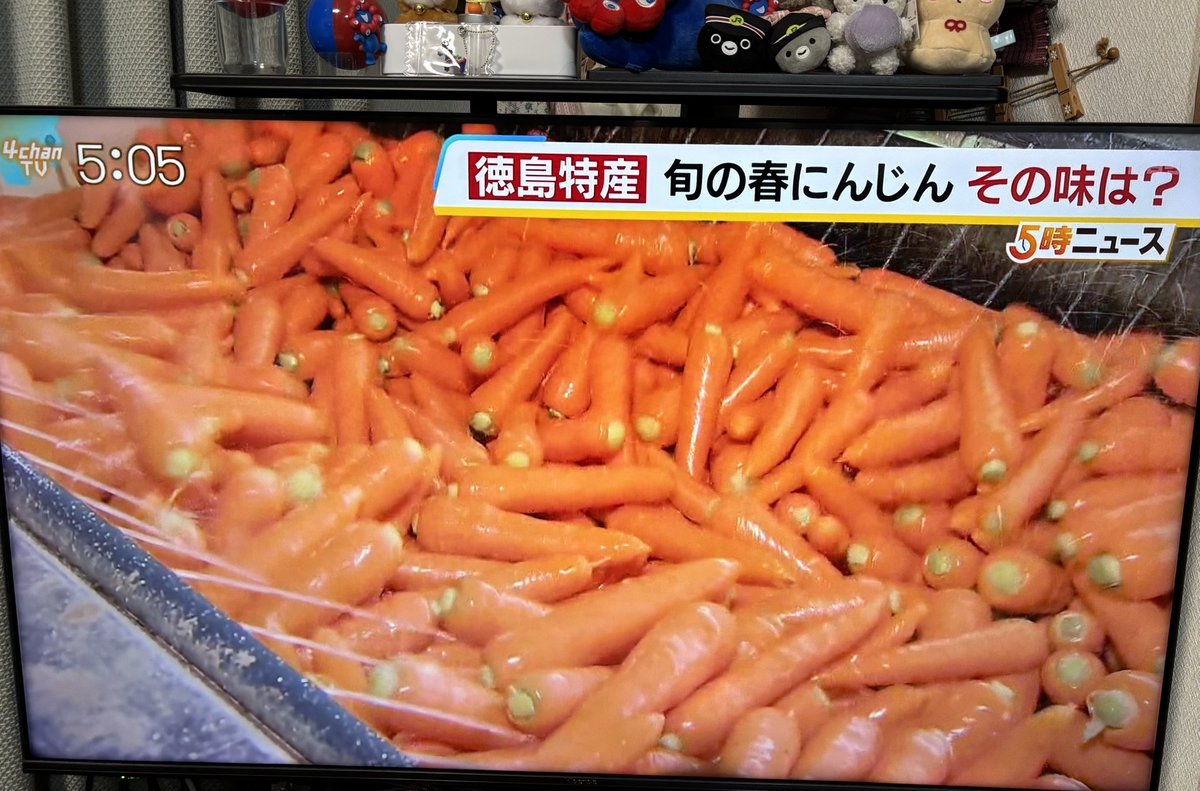 人参のニュースに食いついてしまった私はにんじん団員😅🐰🥕