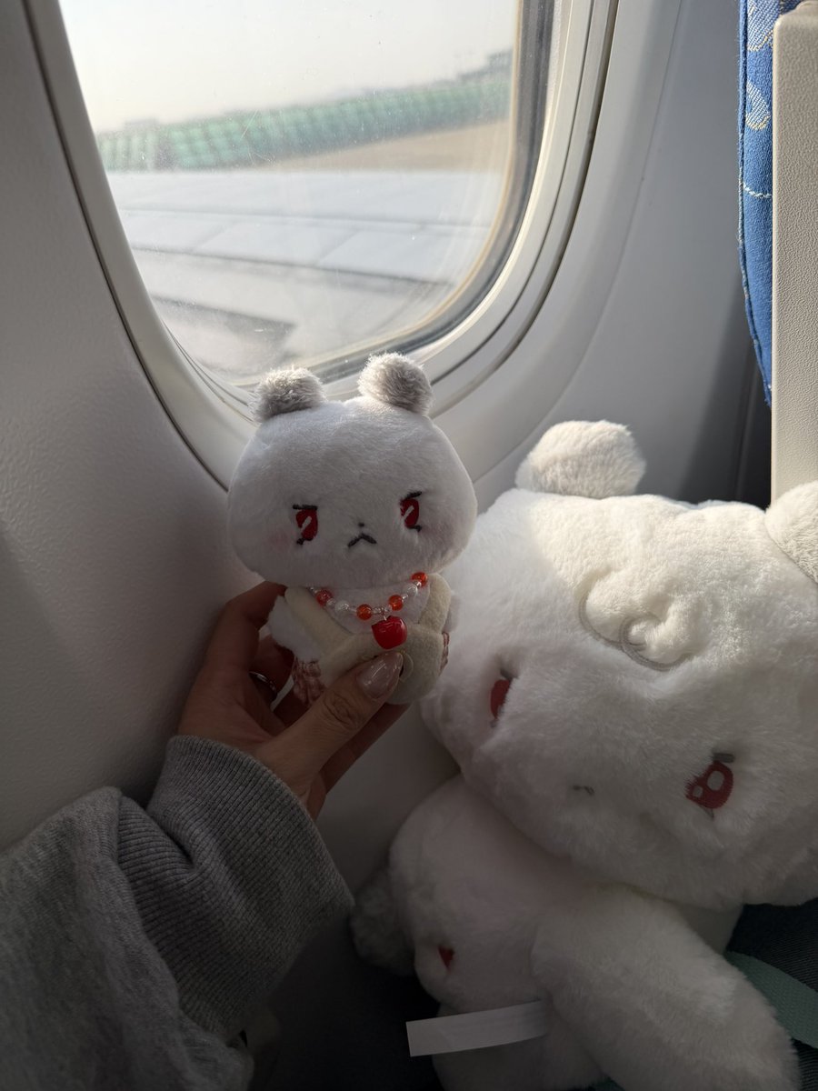 가께.. ✈️
캐리어 안에 앨범(사랑) 가득가득해🥺