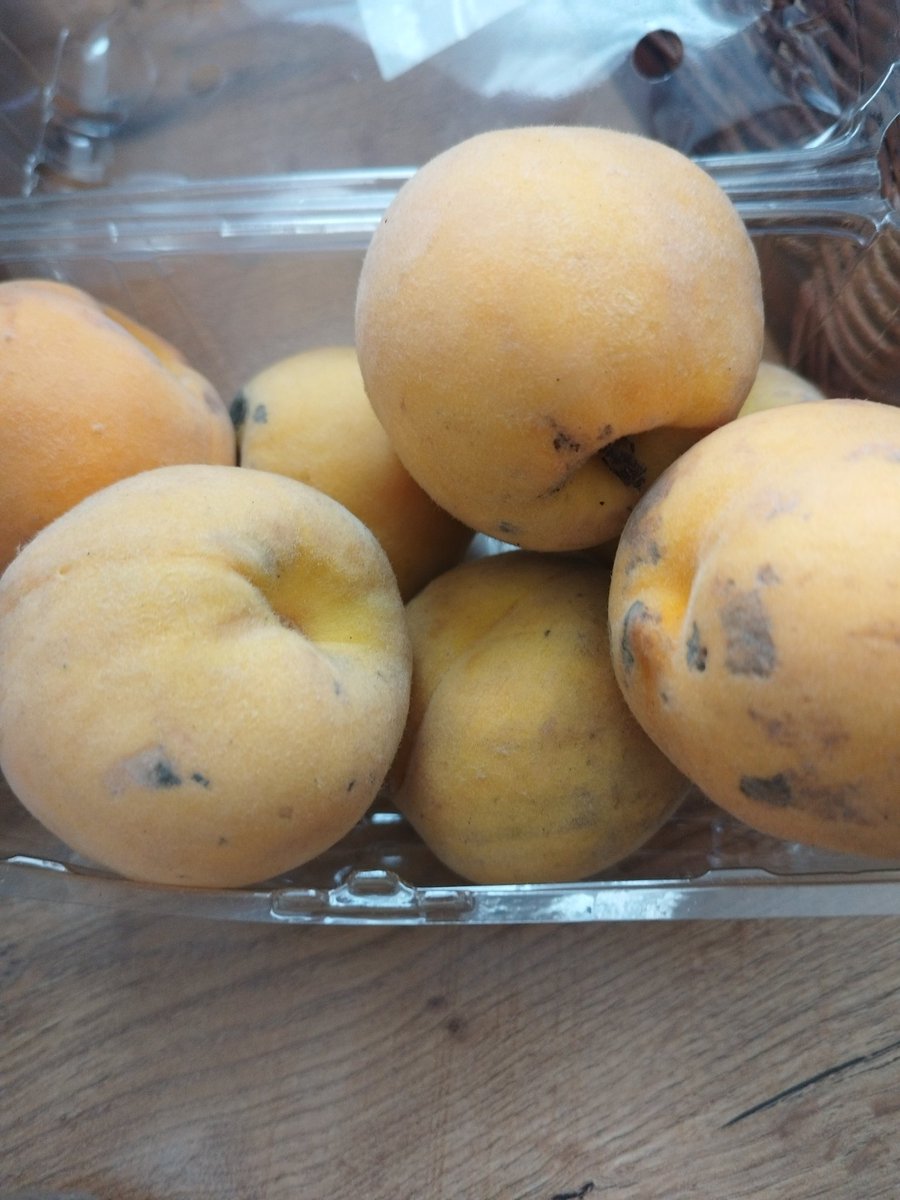 ZaynabNonyameko tweet media