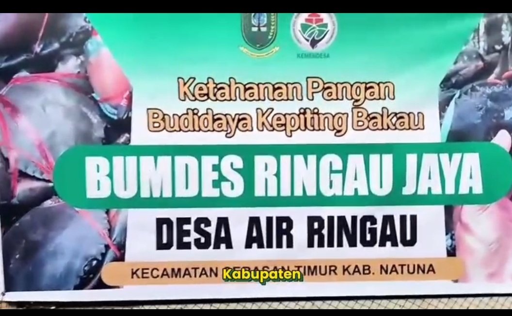 hartono_352016's tweet photo. DARI NATUNA UNTUK INDONESIA. BUMDesa Desa  Air Ringau di Ujung Utara Negeri  berinovasi membudidayakan kepiting untuk kesejahteraan warga Natuna

@YandriSusanto
 @KemensetnegRI
#BPSDMKementerianDesaPDT
#BUMDesaNatuna
 #KerjaTPPBerdampak 
#KerjasamaBUMDesadanKDMP https://t.co/QKaDQXo0bO