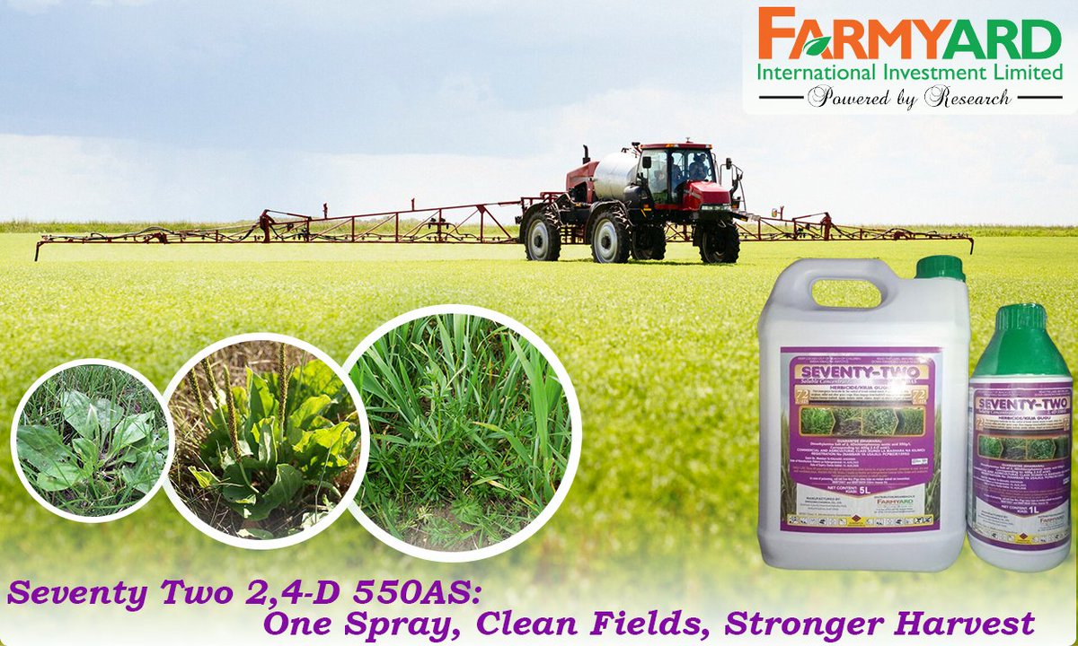 Mcl_kenya's tweet image. Clear your field in one spray 🌱
Seventy Two 2,4-D 550AS tackles tough broadleaf weeds, giving your crop room to grow strong and healthy. Easy to use, reliable results every time. 🌾💪
#WeedControl #KenyaFarmers