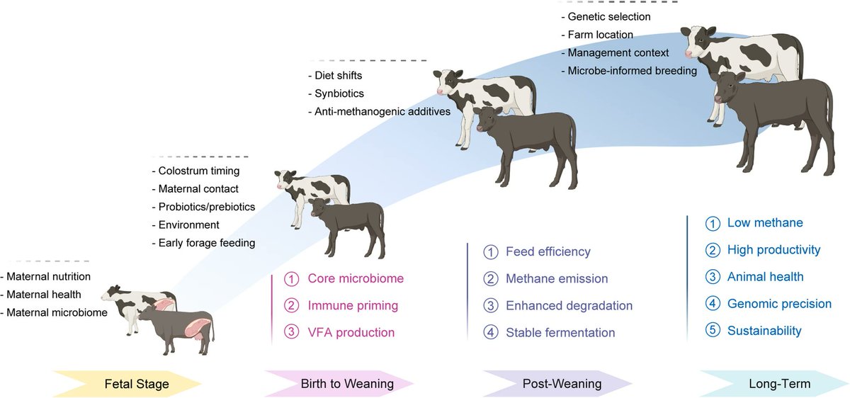 Microbiome tweet media
