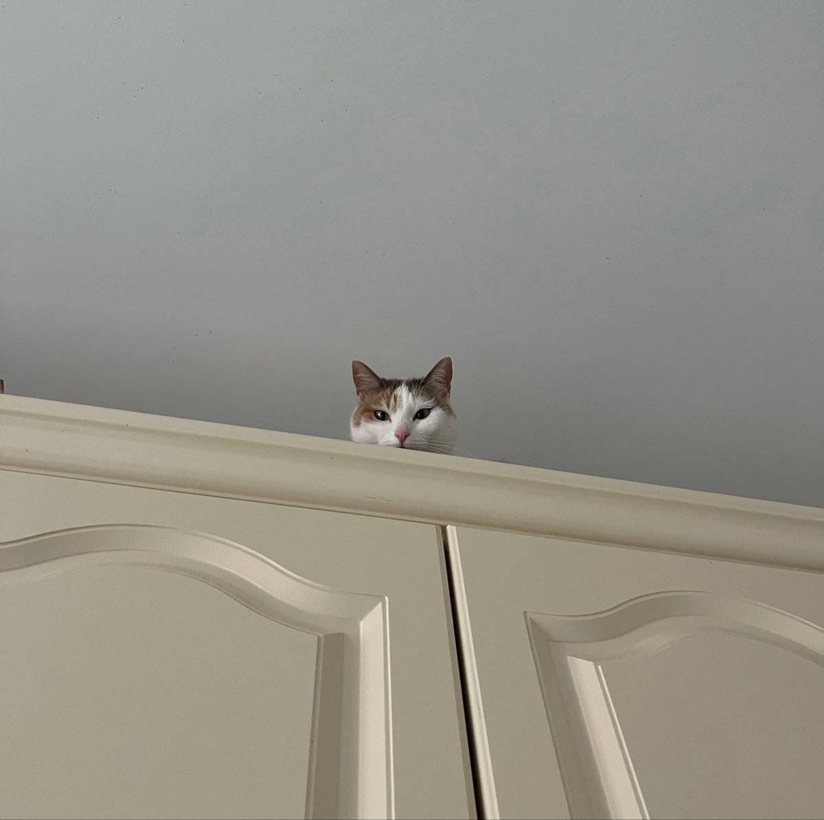 toupie bébé tweet media