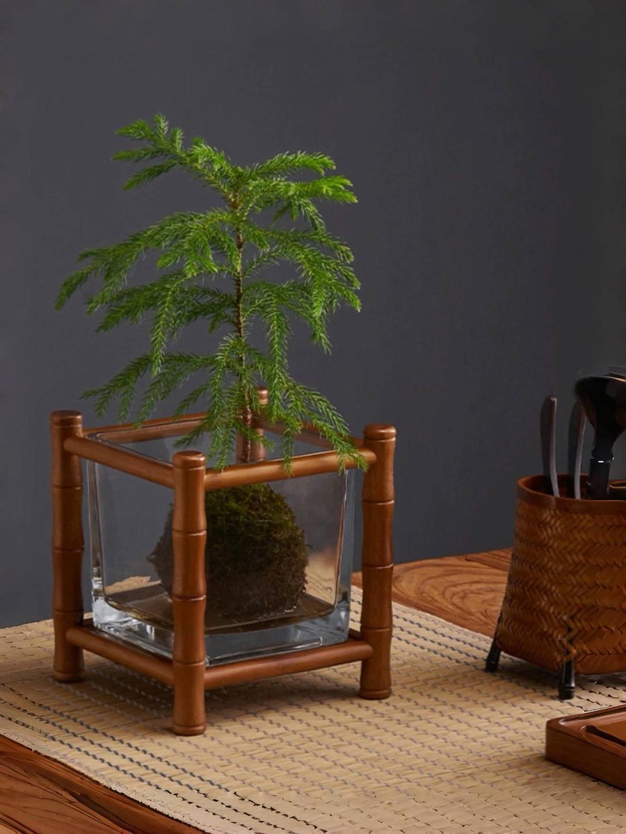 dazedsunflowerr's tweet image. DIY Magic: Transform old glass jars into glowing herb planters! Grab jars, paint, pebbles + succulents. Easy 10-min project—perfect for cozy vibes. Tag me if you try it! #DIYHome #Upcycle #Crafts