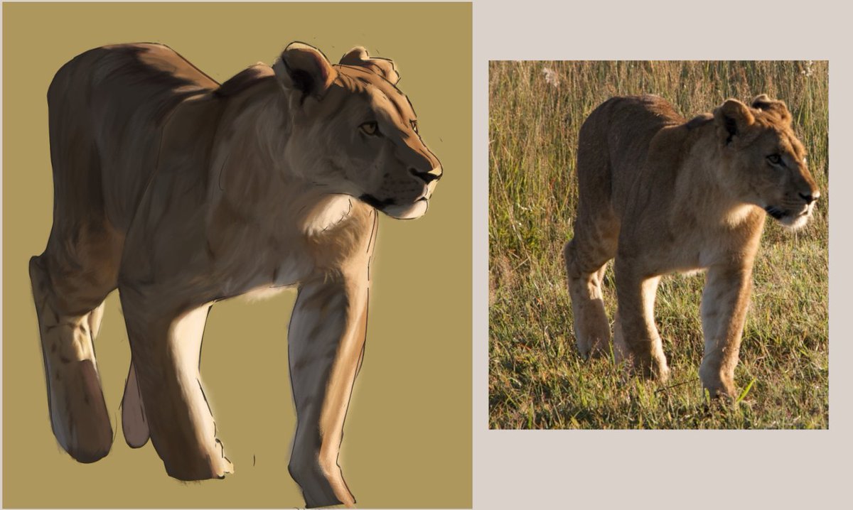 VirologicEarth5's tweet photo. lioness painting https://t.co/Yeys6dp0TE