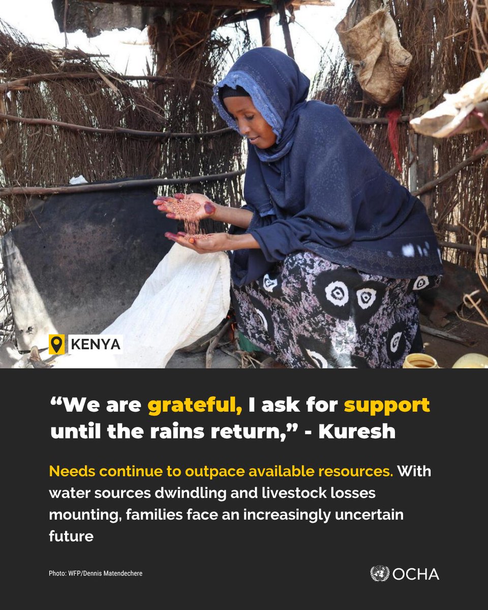 UNOCHA_ROSEA's tweet image. Drought is forcing families in northern #Kenya to measure food in handfuls.

From mid‑April, the Lisha Jamii response supported by @OCHAFunds will ease the strain through cash transfers and school meals in Marsabit and Wajir.

kenya.un.org/en/313696-meal…