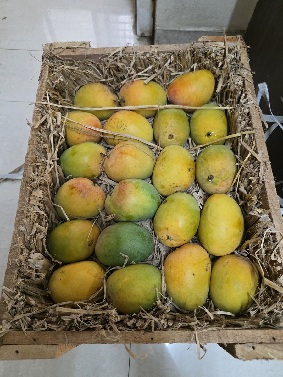 Digipedia tweet media