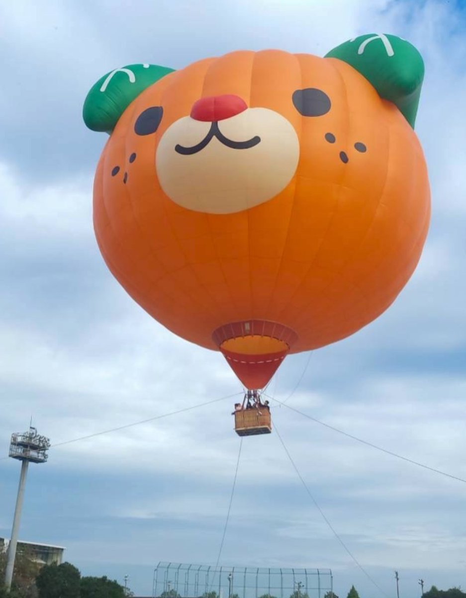 オレンジフェリー（公式） tweet media