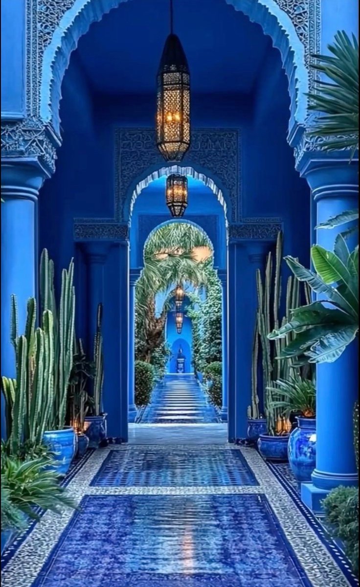 giovanna cecchi tweet media