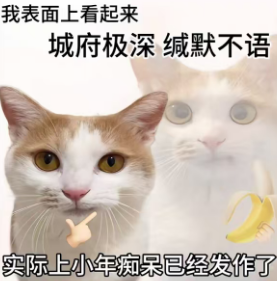 peipei(🌸, 🌿) tweet media