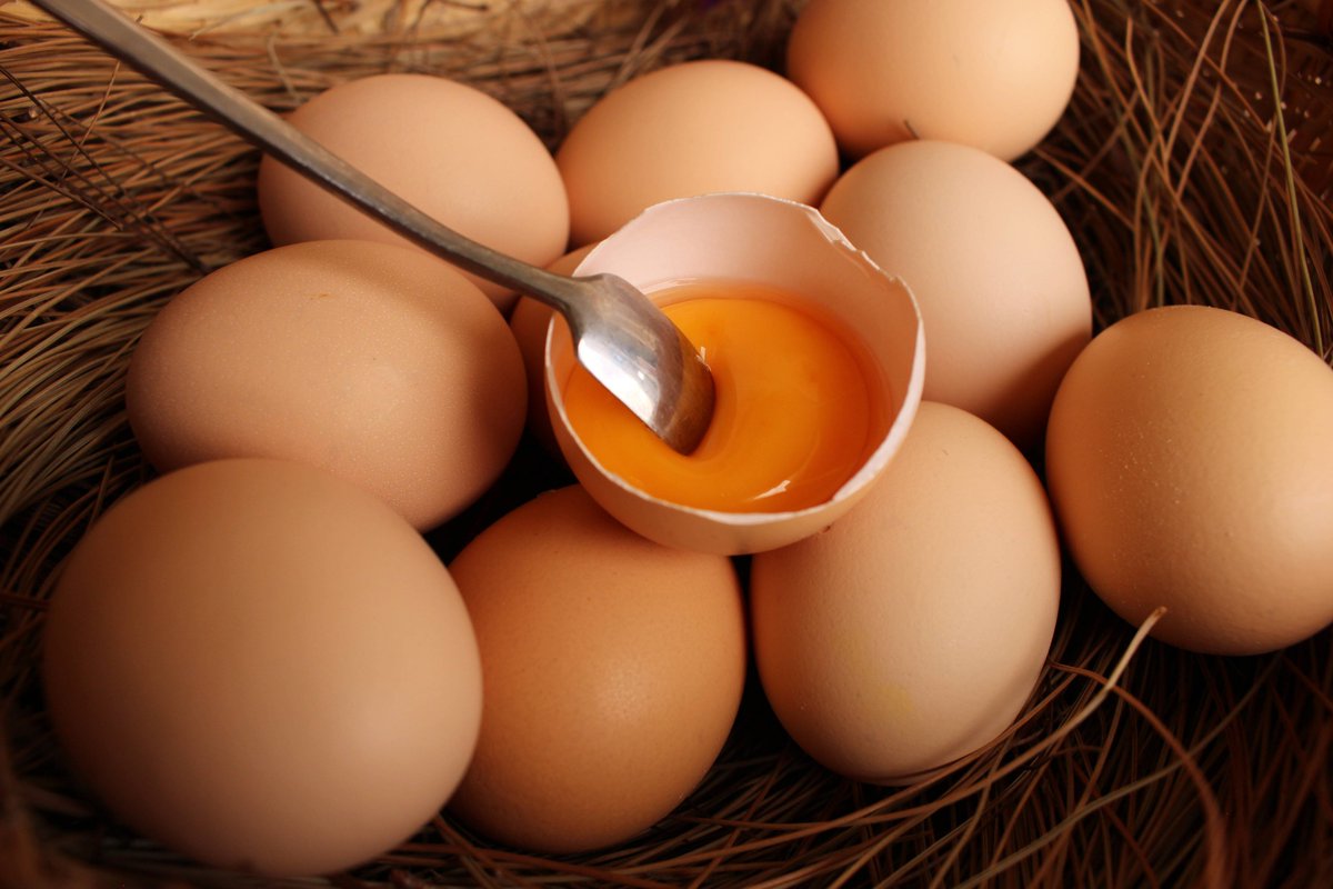 TradesYarthur's tweet image. Taste Test: Organic Cherry Tomatoes vs. Regular!   Juicy, sweet, u0026 sun-ripened—organic ones burst with flavor! Regulars are firm but less vibrant.  Pro tip: Pair organic with basil + mozzarella for a chef’s kiss caprese!  #FoodReview #FreshProduce #EatSmart