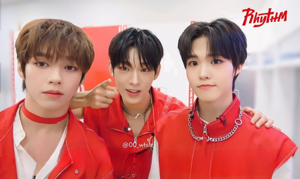 NoE ✩°⋆𓃦⋆°✩ tweet media