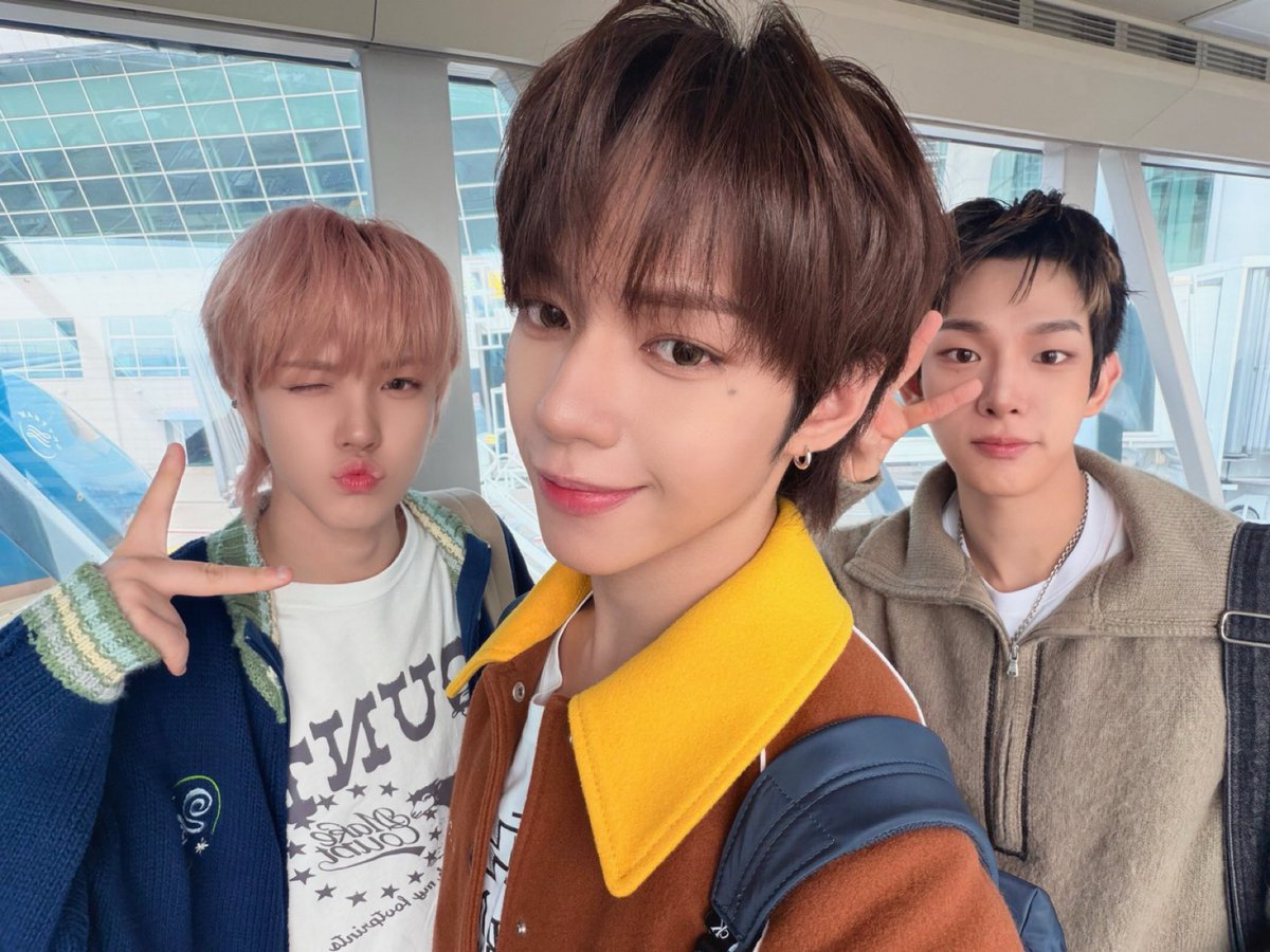 NoE ✩°⋆𓃦⋆°✩ tweet media